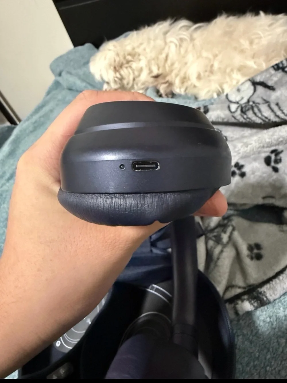 Sony Over-Ear Headphones in Dark Blue